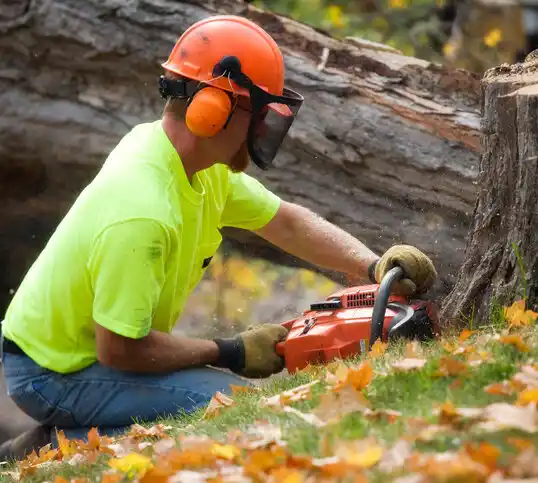 tree services Fort Washington